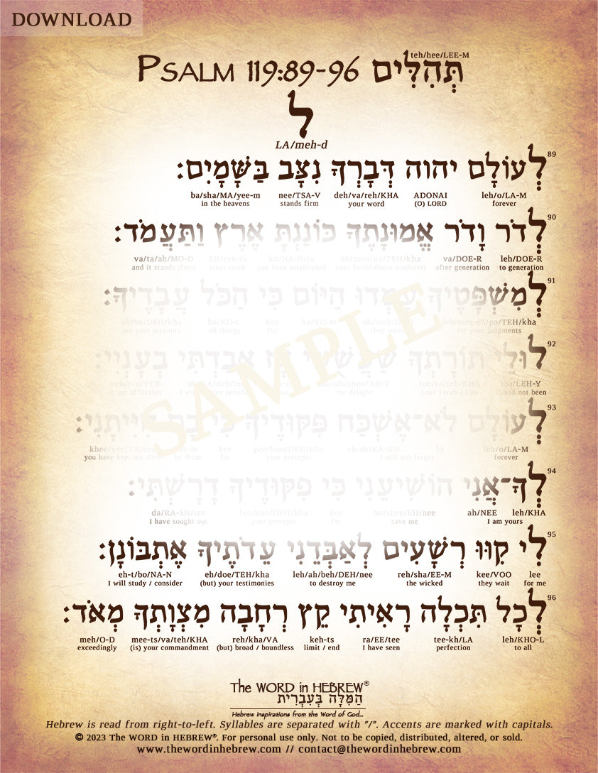 Psalm 119 in Hebrew - PDF DOWNLOADS (8.5"x11", NO Shipping)