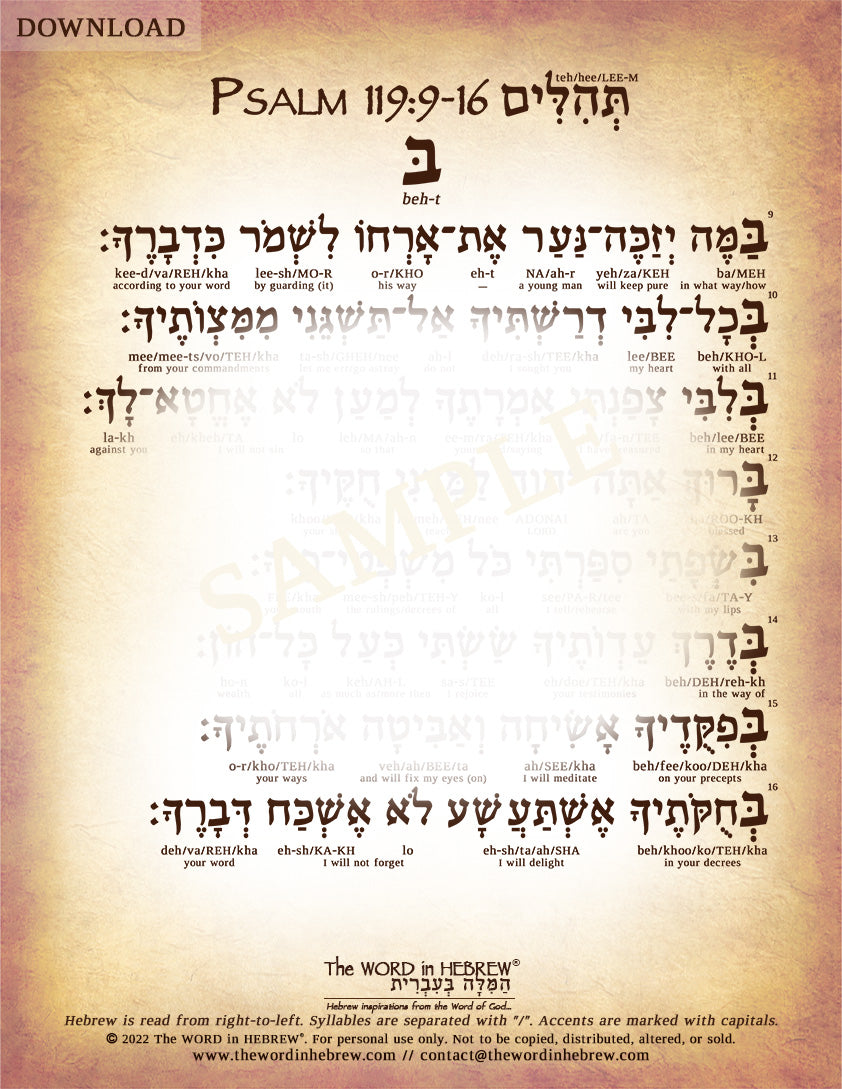 Psalm 119 in Hebrew - PDF DOWNLOADS (8.5"x11", NO Shipping)