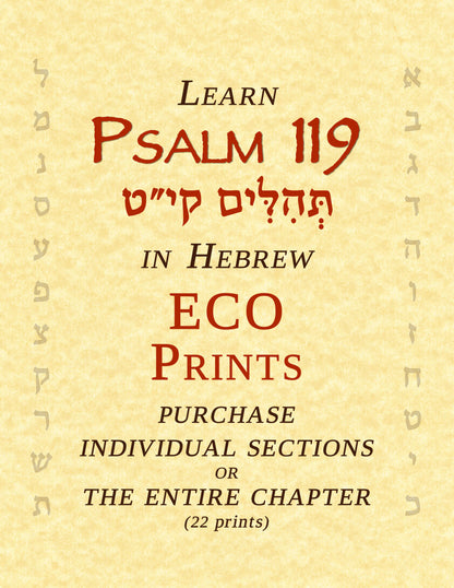 Psalm 119 in Hebrew - ECO Prints