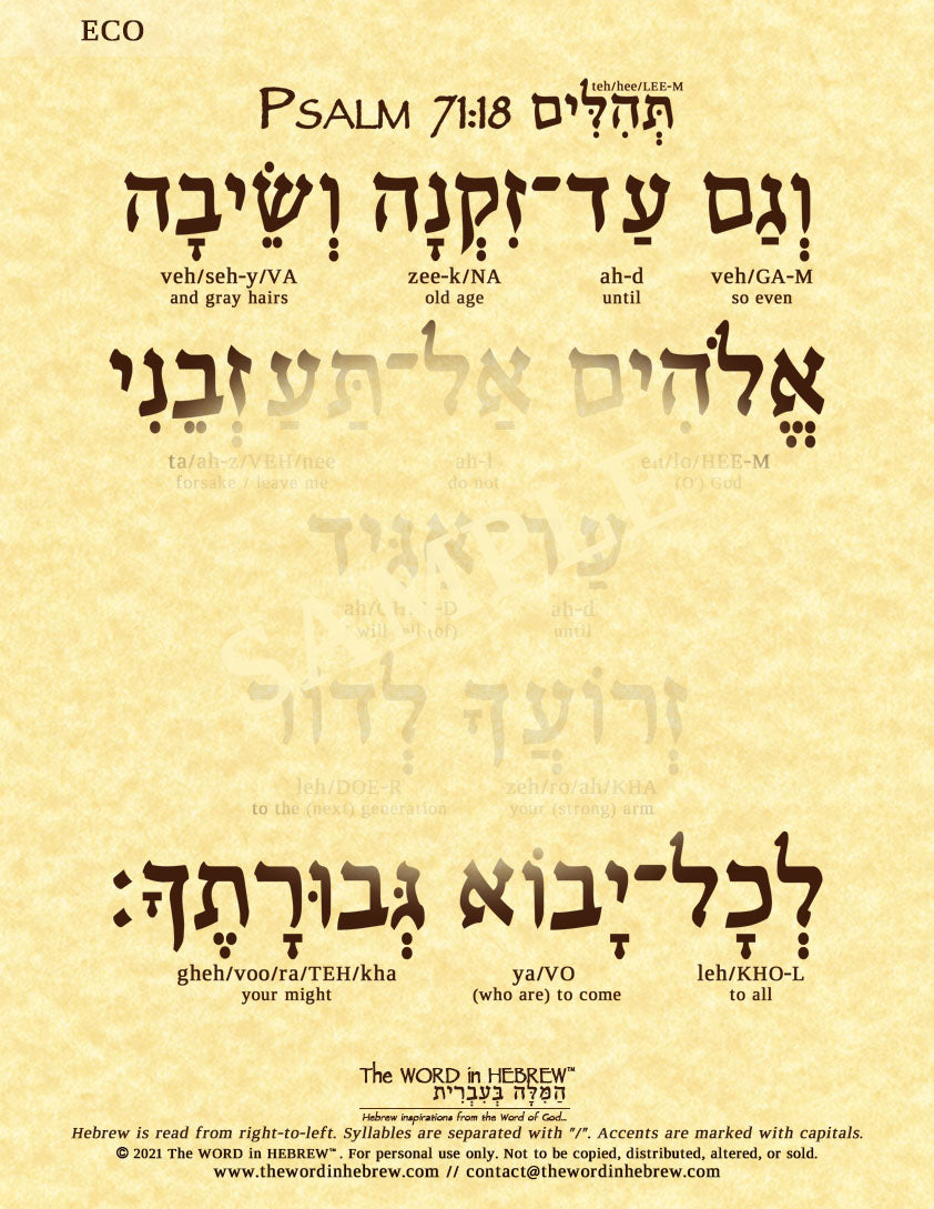 Psalm 71:18 in Hebrew - "So even until I am old and gray..." - Print