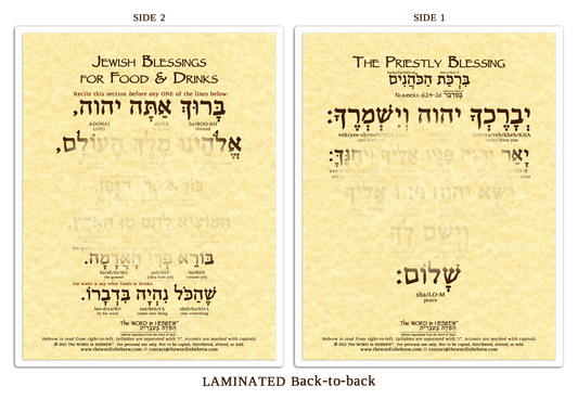 Shabbat Blessings in Hebrew - LAMINATED BUNDLE (9"x11.5", ECO) - Print