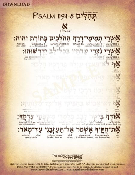 Psalm 119:1-8 in Hebrew - PDF