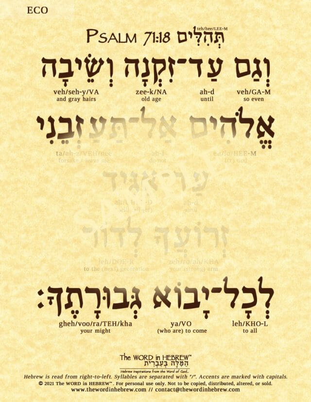 Psalm 71:18 in Hebrew - ECO
