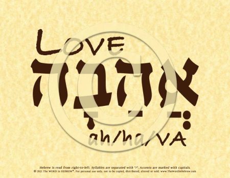 Love Ahava in Hebrew - ECO