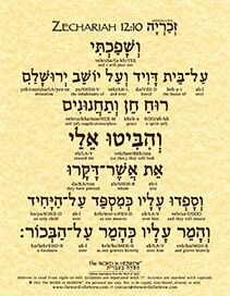 Zechariah 12:10 in Hebrew (ECO)