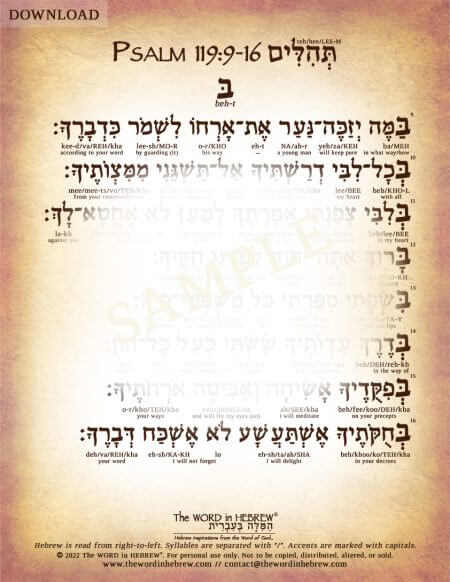 Psalm 119:9-16 in Hebrew PDF